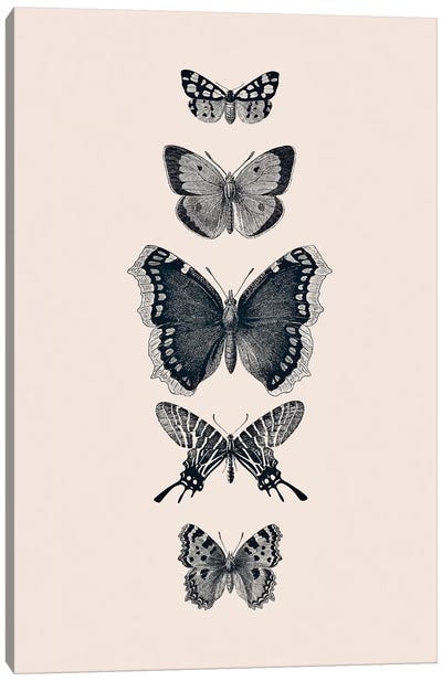Inked Butterflies Beige Canvas Art Print - Monika Strigel