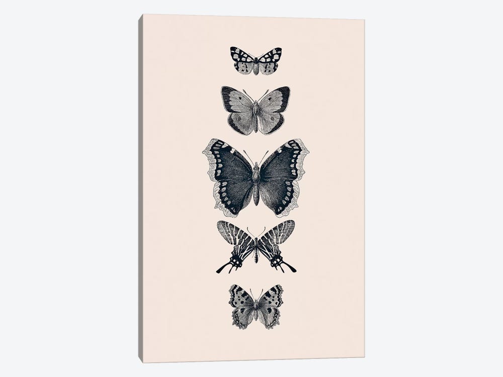 Inked Butterflies Beige by Monika Strigel 1-piece Canvas Art