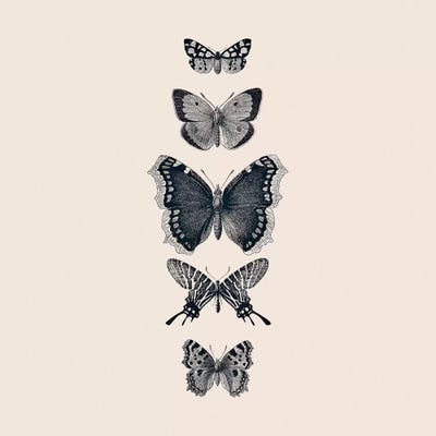 Inked Butterflies Beige Square by Monika Strigel framed canvas print