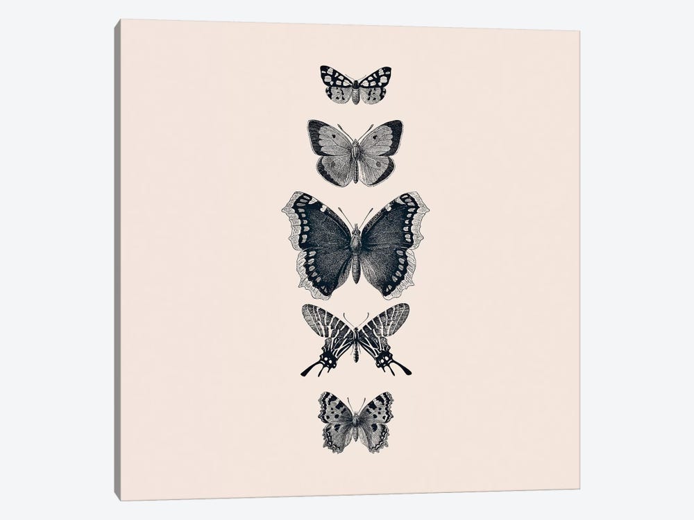Inked Butterflies Beige Square by Monika Strigel 1-piece Canvas Artwork