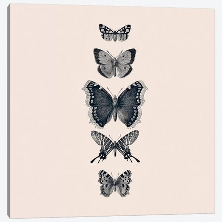 Inked Butterflies Beige Square Canvas Print #GEL200} by Monika Strigel Canvas Print