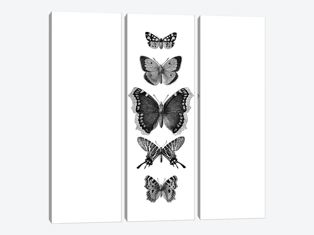 Inked Butterflies Black And White Square by Monika Strigel 3-piece Canvas Print
