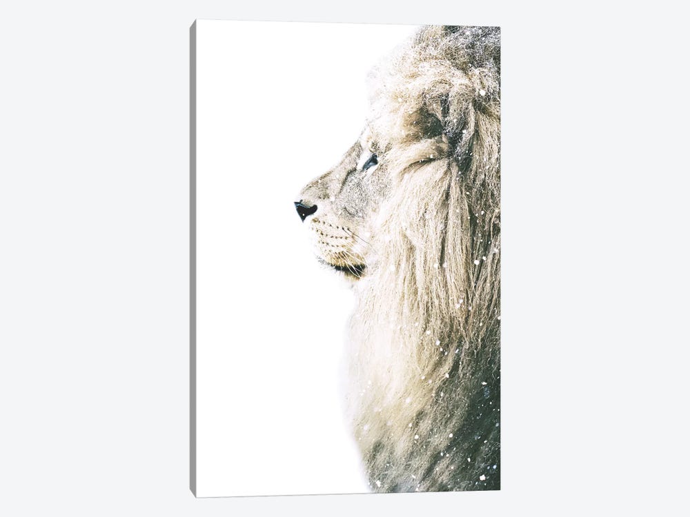 Lion In Snow by Monika Strigel 1-piece Canvas Art