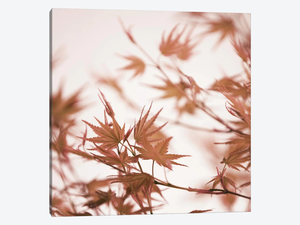 Maple Leaves I Square 1-piece Canvas Art