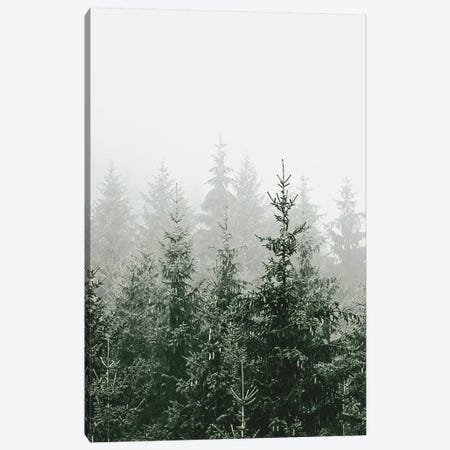 Mountain Forest Green Canvas Print #GEL218} by Monika Strigel Canvas Art