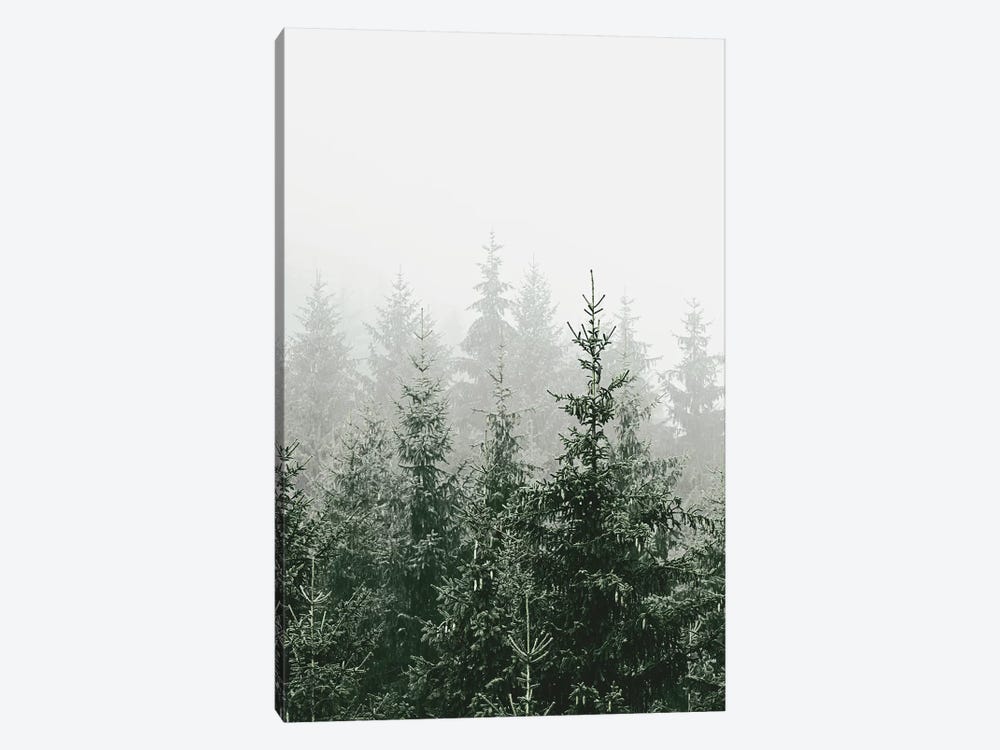 Mountain Forest Green by Monika Strigel 1-piece Canvas Print