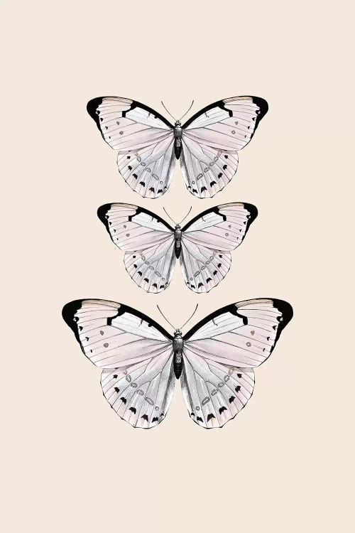 Papillion Beige by Monika Strigel wall art