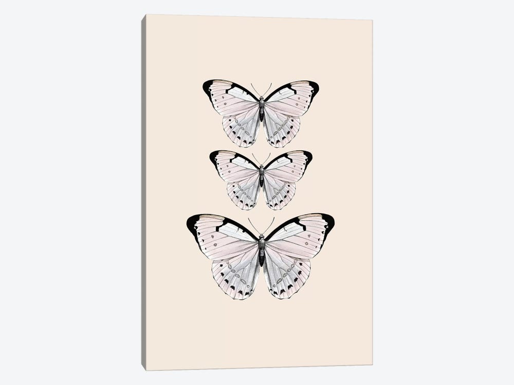 Papillion Beige by Monika Strigel 1-piece Canvas Print
