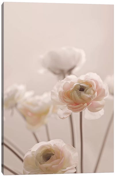 Rose Flowers I Canvas Art Print - Monika Strigel