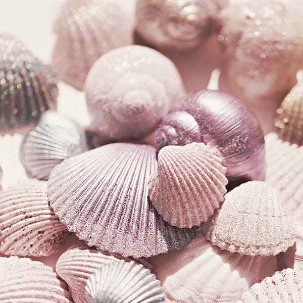 Ocean Treasures: Shells And Glitter Square by Monika Strigel