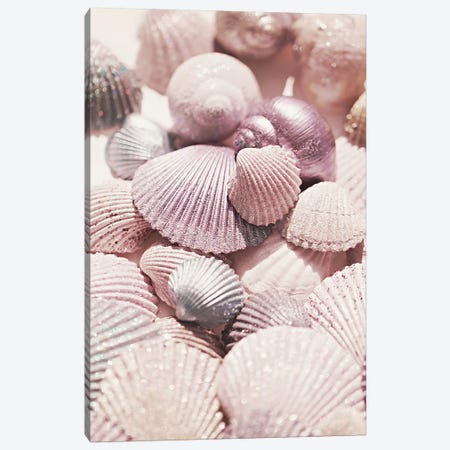 Shells And Glitter Canvas Print #GEL269} by Monika Strigel Art Print