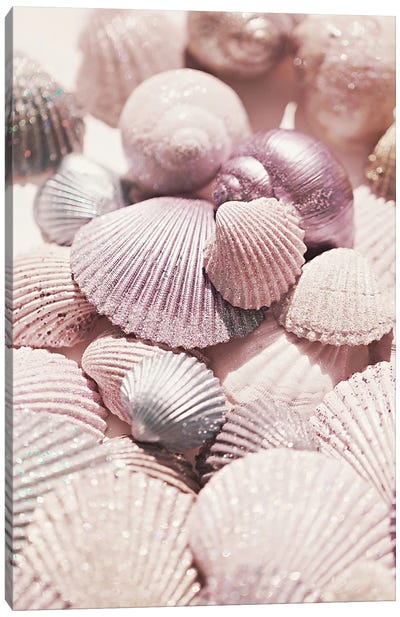 Shells And Glitter Canvas Art Print - Monika Strigel