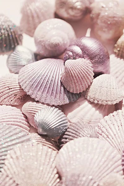 Still Life Photography: Shells And Glitter by Monika Strigel