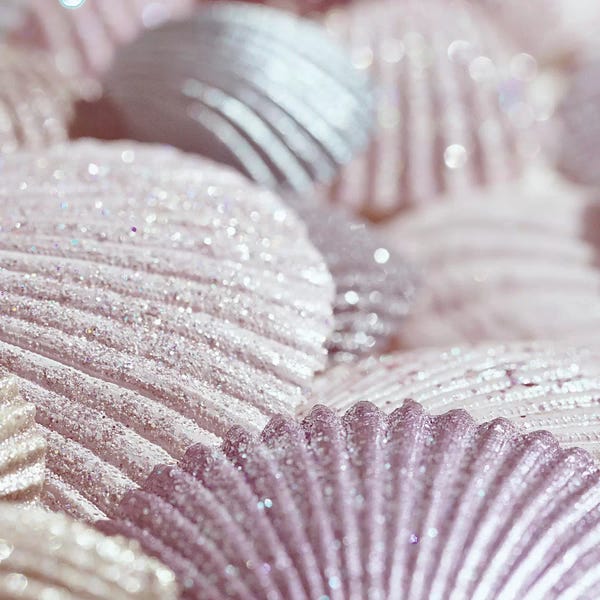 Still Life Photography: Shells And Glitter II Pink Square by Monika Strigel