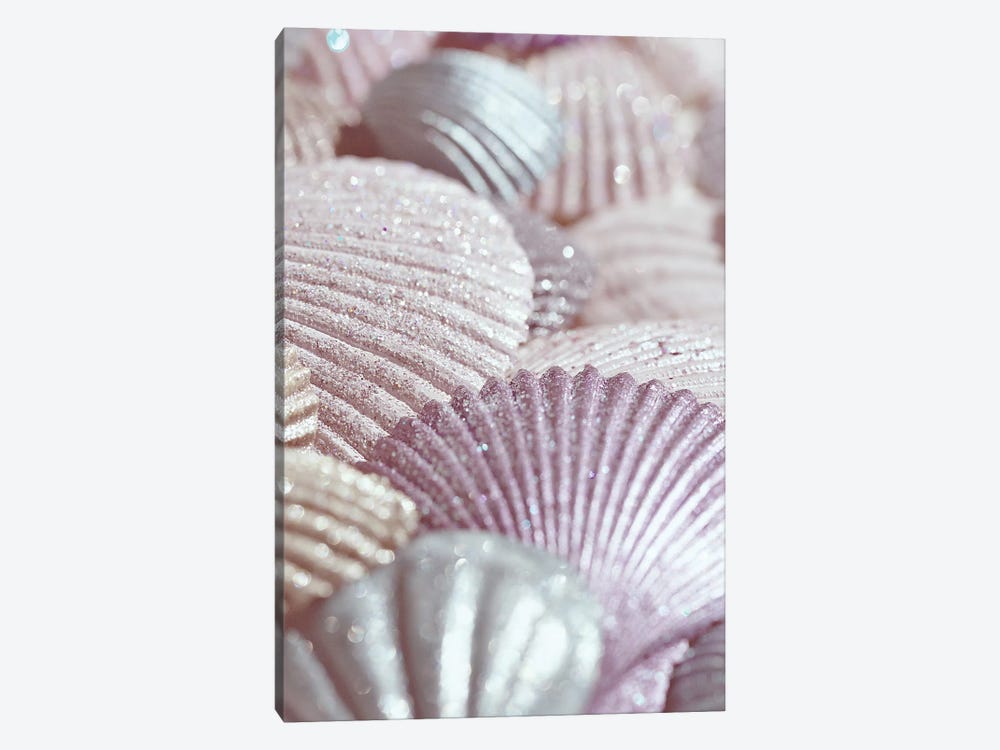 Shells And Glitter II Pink by Monika Strigel 1-piece Canvas Artwork
