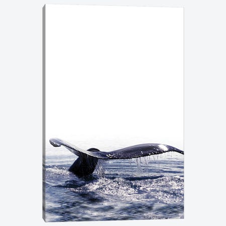 Whale Song I Iceland Canvas Print #GEL303} by Monika Strigel Canvas Wall Art