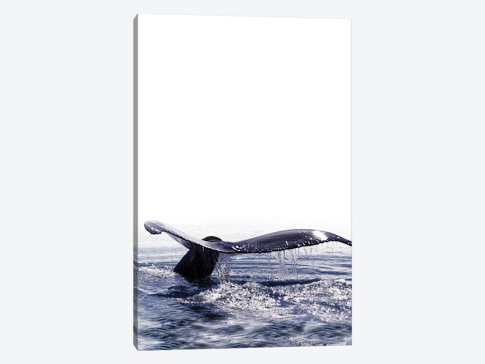 Whale Song I Iceland by Monika Strigel 1-piece Canvas Artwork