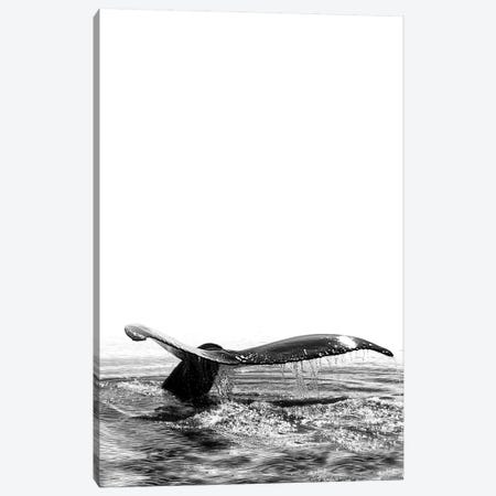 Whale Song I Iceland Black And White Canvas Print #GEL305} by Monika Strigel Art Print