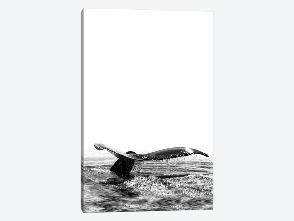 Whale Song I Iceland Black And White by Monika Strigel 1-piece Canvas Art