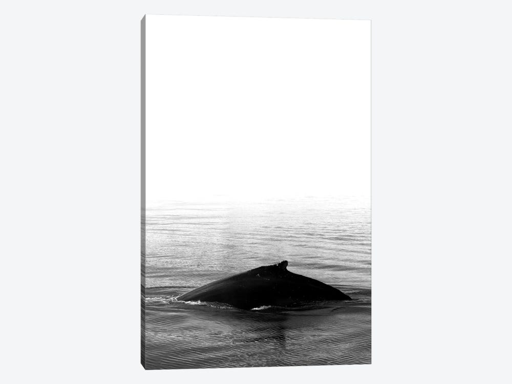 Whale Song III Black Iceland by Monika Strigel 1-piece Canvas Wall Art