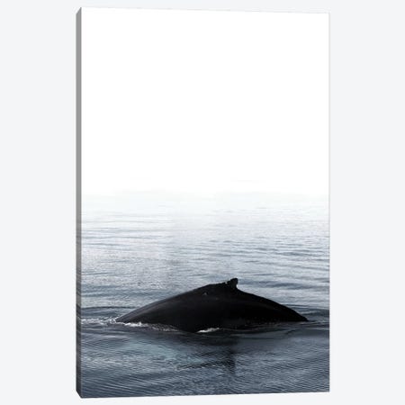 Whale Song III Blue Iceland Canvas Print #GEL309} by Monika Strigel Canvas Artwork