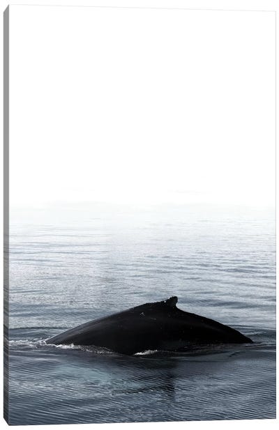 Whale Song III Blue Iceland Canvas Art Print - Monika Strigel