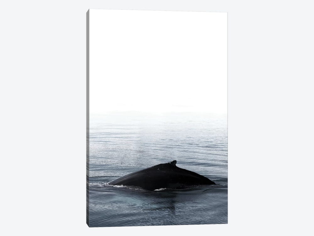 Whale Song III Blue Iceland by Monika Strigel 1-piece Canvas Art