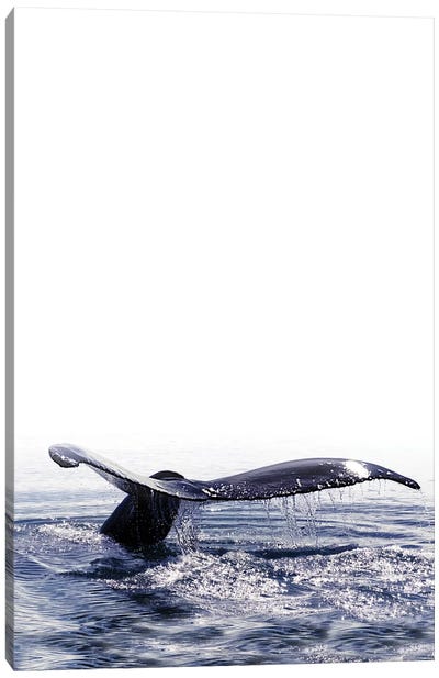 Whale Song Iceland I Canvas Art Print - Monika Strigel