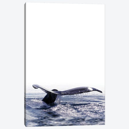 Whale Song Iceland I Canvas Print #GEL311} by Monika Strigel Canvas Art Print