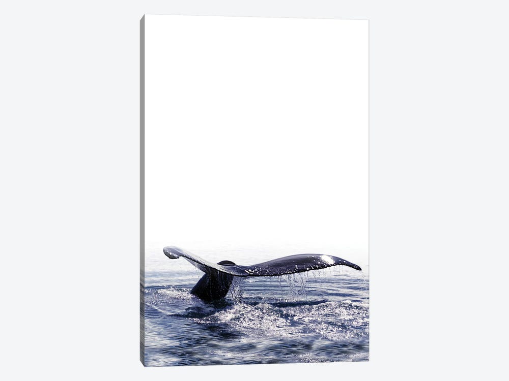 Whale Song Iceland I by Monika Strigel 1-piece Art Print