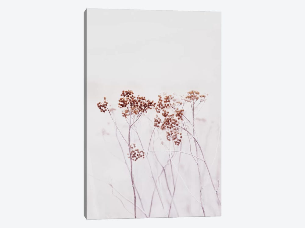 Wildflowers Iceland by Monika Strigel 1-piece Canvas Art Print