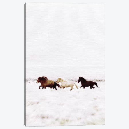 Wild Horses Iceland VIII Canvas Print #GEL328} by Monika Strigel Canvas Artwork