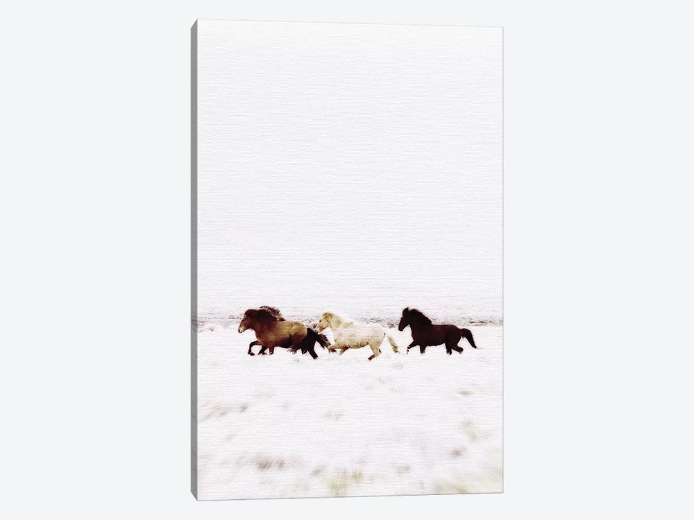 Wild Horses Iceland VIII by Monika Strigel 1-piece Canvas Art Print