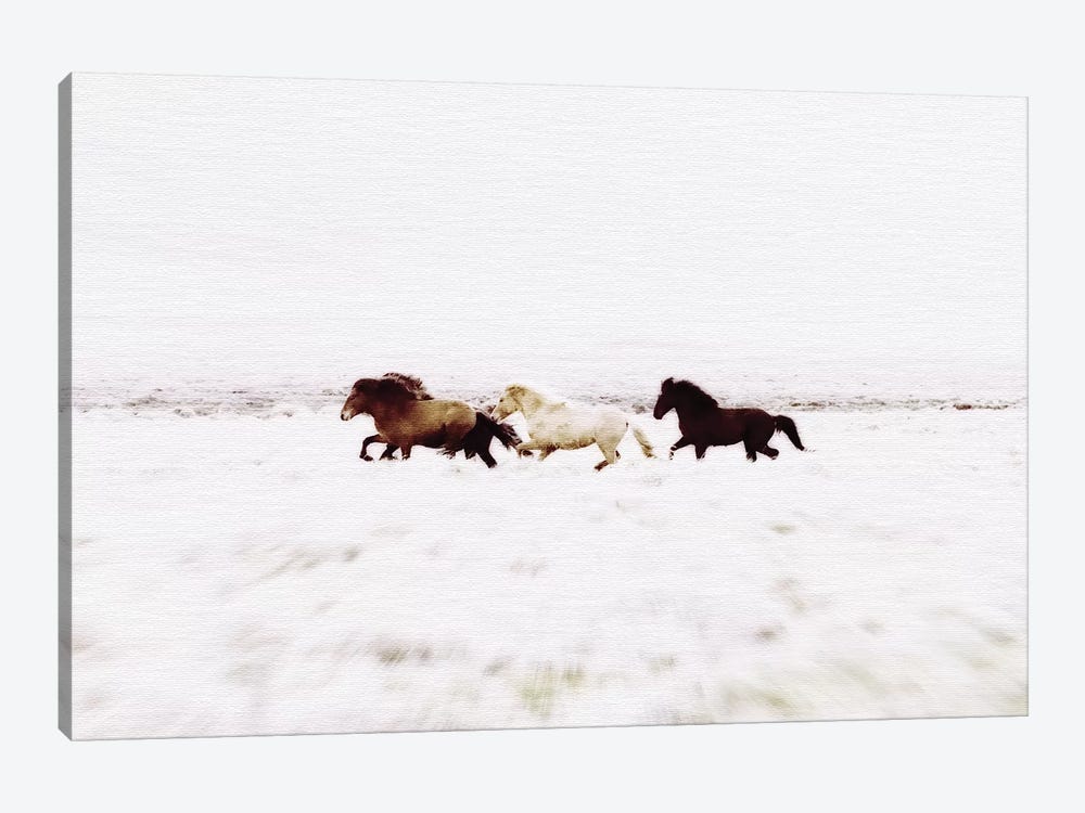 Wild Horses Iceland VIII Landscape by Monika Strigel 1-piece Canvas Wall Art