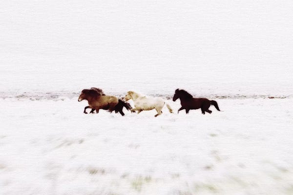 Iceland: Wild Horses Iceland VIII Landscape by Monika Strigel