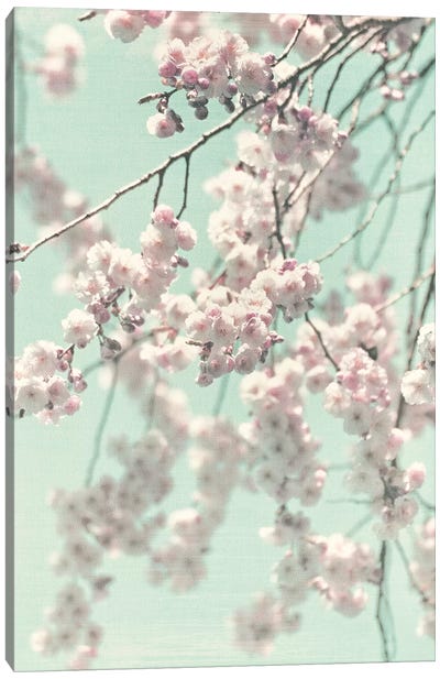Happy Spring II Canvas Art Print - Cherry Blossom Art