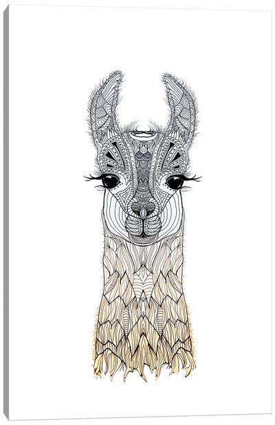 Lama Cria  Canvas Art Print - Llama & Alpaca Art