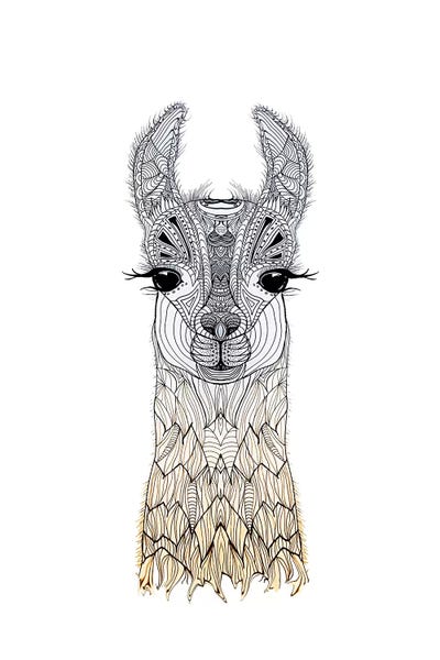 Llamas: Lama Cria  by Monika Strigel