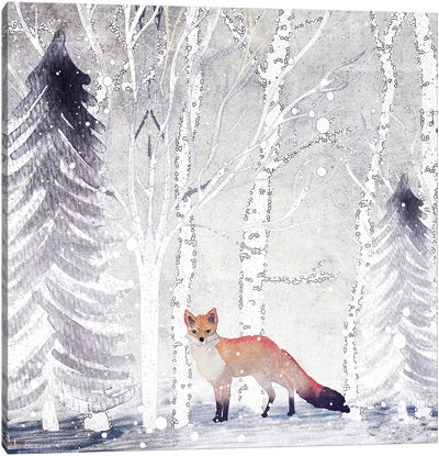 Mr. Winterfox Canvas Art Print - Fox Art