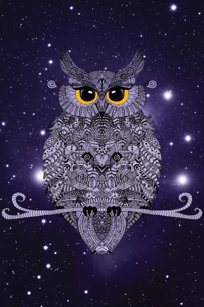 Night Owl by Monika Strigel framed canvas print