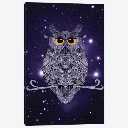 Night Owl Canvas Print #GEL47} by Monika Strigel Canvas Art