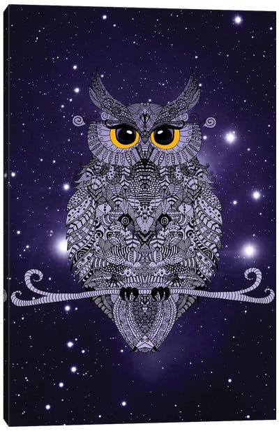 Night Owl Canvas Art Print - Monika Strigel