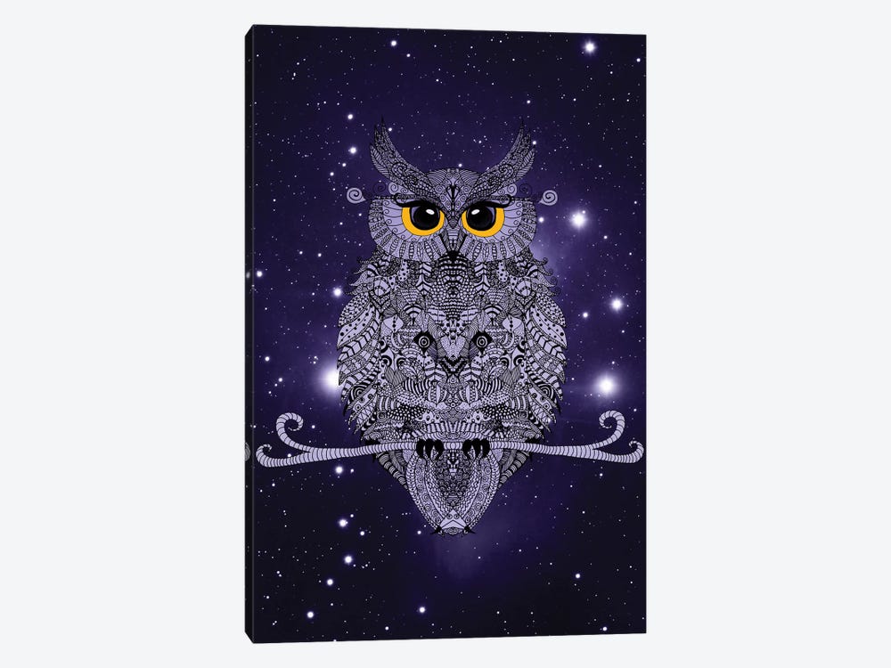 Night Owl by Monika Strigel 1-piece Canvas Art
