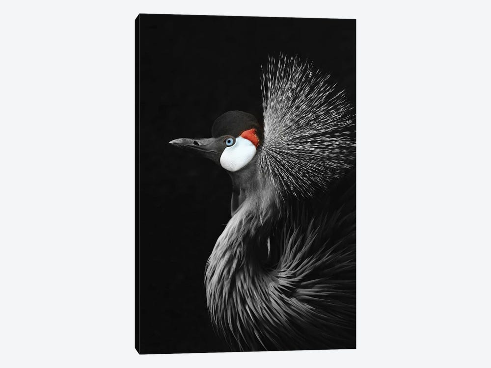 Crowned Crane by Monika Strigel 1-piece Canvas Art Print