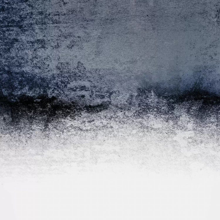 Snowdreamer - Black And White by Monika Strigel canvas print