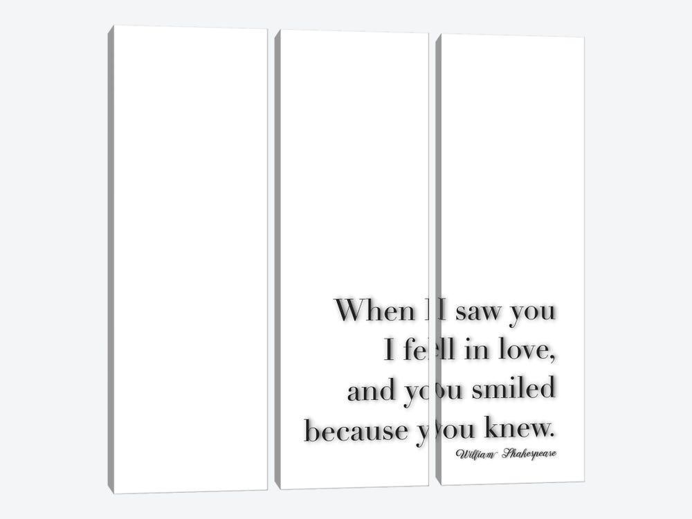 When I Saw You - Shakespeare by Monika Strigel 3-piece Art Print