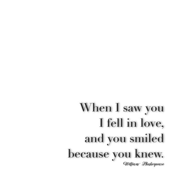 Romantic Bedroom (Love): When I Saw You - Shakespeare by Monika Strigel