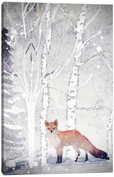 Mr. Winterfox II Canvas Art Print - Monika Strigel