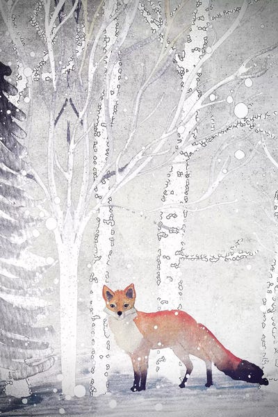Foxes: Mr. Winterfox II by Monika Strigel