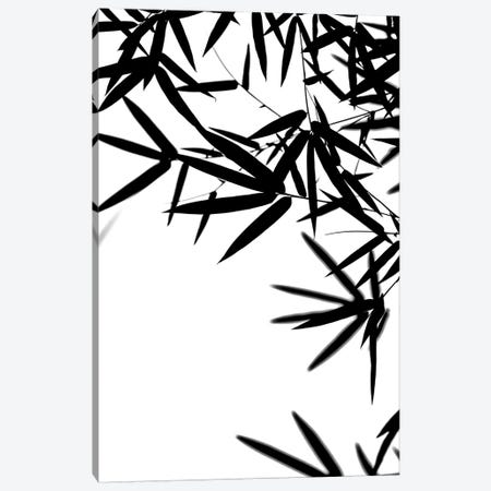 Bambus Leaves Black Canvas Print #GEL89} by Monika Strigel Canvas Print
